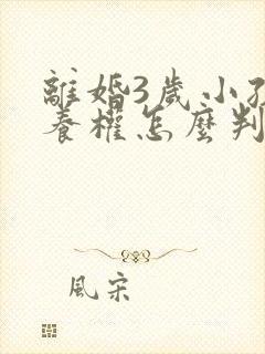 离婚3岁小孩抚养权怎么判定封面