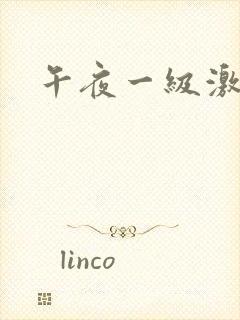 午夜一级激情片封面