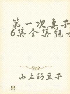 第一次妻子动漫6集全集观看免费封面