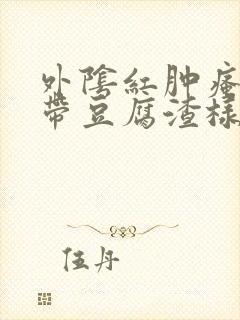 外阴红肿瘙痒白带豆腐渣样封面