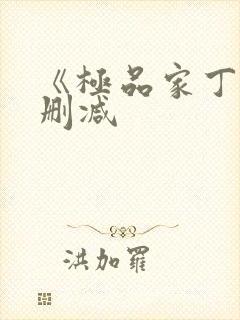 《极品家丁》无删减