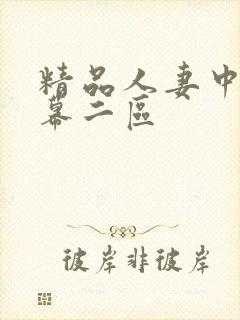 精品人妻中文字幕二区