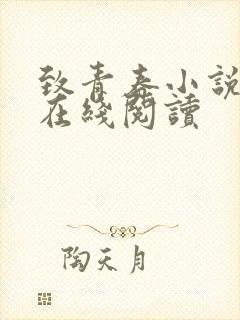 致青春小说原著在线阅读封面