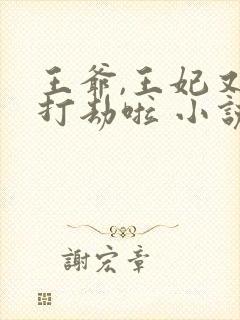 王爷,王妃又去打劫啦 小说