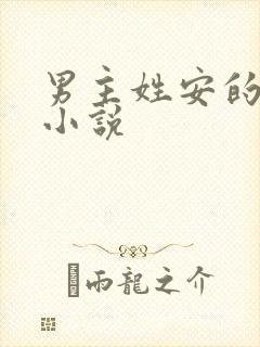 男主姓安的总裁小说