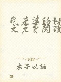 我老婆的秘密全文免费阅读