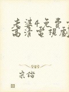 老婆4免费完整高清电视剧在线观看