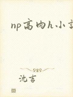 np高肉h小说