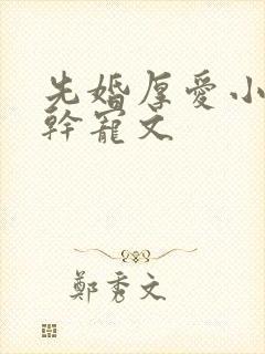 先婚厚爱小说高干宠文