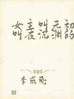 女主叫元初男主叫夜沉渊的小说