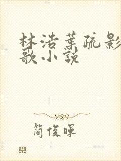 林浩叶疏影沈清歌小说