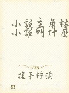 小说主角林天的小说叫什么名字