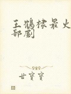 王鹤棣最火的十部剧