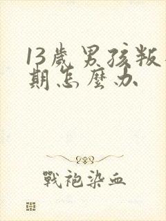 13岁男孩叛逆期怎么办