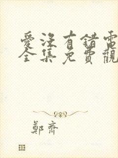 爱没有错电视剧全集免费观看封面