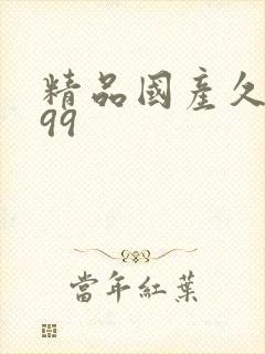 精品国产久久久99封面