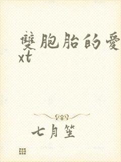 双胞胎的爱恋txt