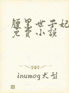 腹黑世子妃日常免费小说