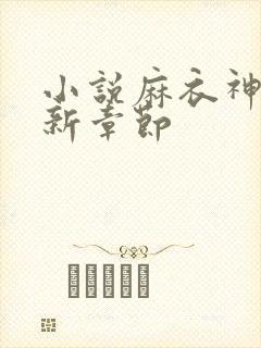 小说麻衣神婿最新章节