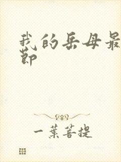 我的岳母最新章节