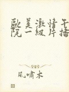 欧美激情午夜影院一级片播放,