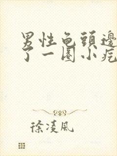 男性龟头边缘长了一圈小疙瘩