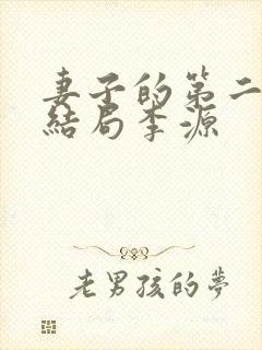 妻子的第二春大结局李源