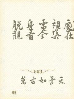 脱身电视剧免费观看全集在线播放封面