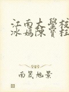 江南大学校花陆冰嫣陈宝柱封面