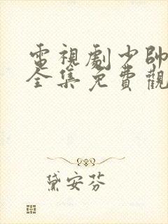 电视剧少帅48全集免费观看在线云