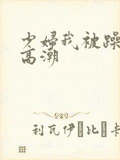 少妇我被躁爽到高潮封面