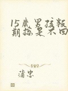 15岁男孩叛逆期总是不回家怎么办