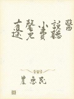 有声小说医道官途免费听