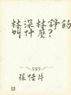 林深林铮的小说叫什么?