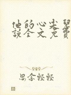 他的心尖儿宠小说全文免费阅读