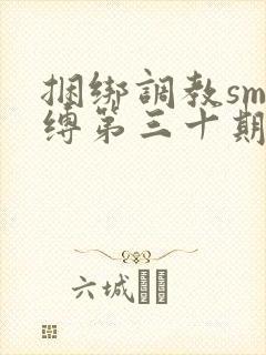 捆绑调教sm束缚第三十期
