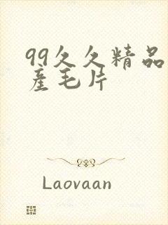 99久久精品国产毛片