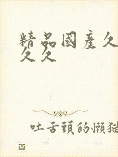 精品国产久久久久久封面