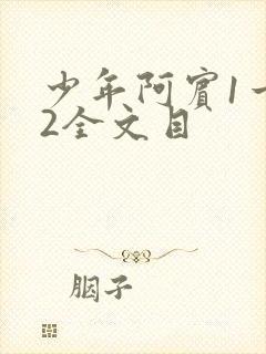 少年阿宾1一72全文目封面