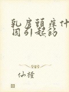 乳房头痒什么原因引起的