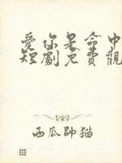 爱你是命中注定短剧免费观看