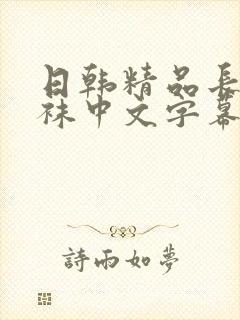 日韩精品长腿丝袜中文字幕高清