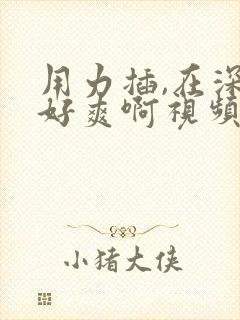 用力插,在深点好爽啊视频