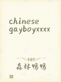 chinesegayboyxxxx