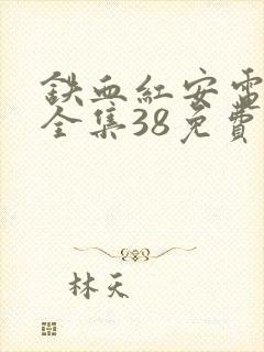 铁血红安电视剧全集38免费观看