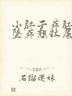 小肚子疼肛门下坠疼想拉屎拉不出来封面