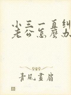 小三一直纠缠我老公怎么办封面