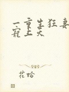 一重生狂妻大佬宠上天