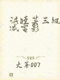 洪晓芸三级无删减电影封面