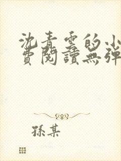 沈青云的小说免费阅读无弹窗全文最新章节